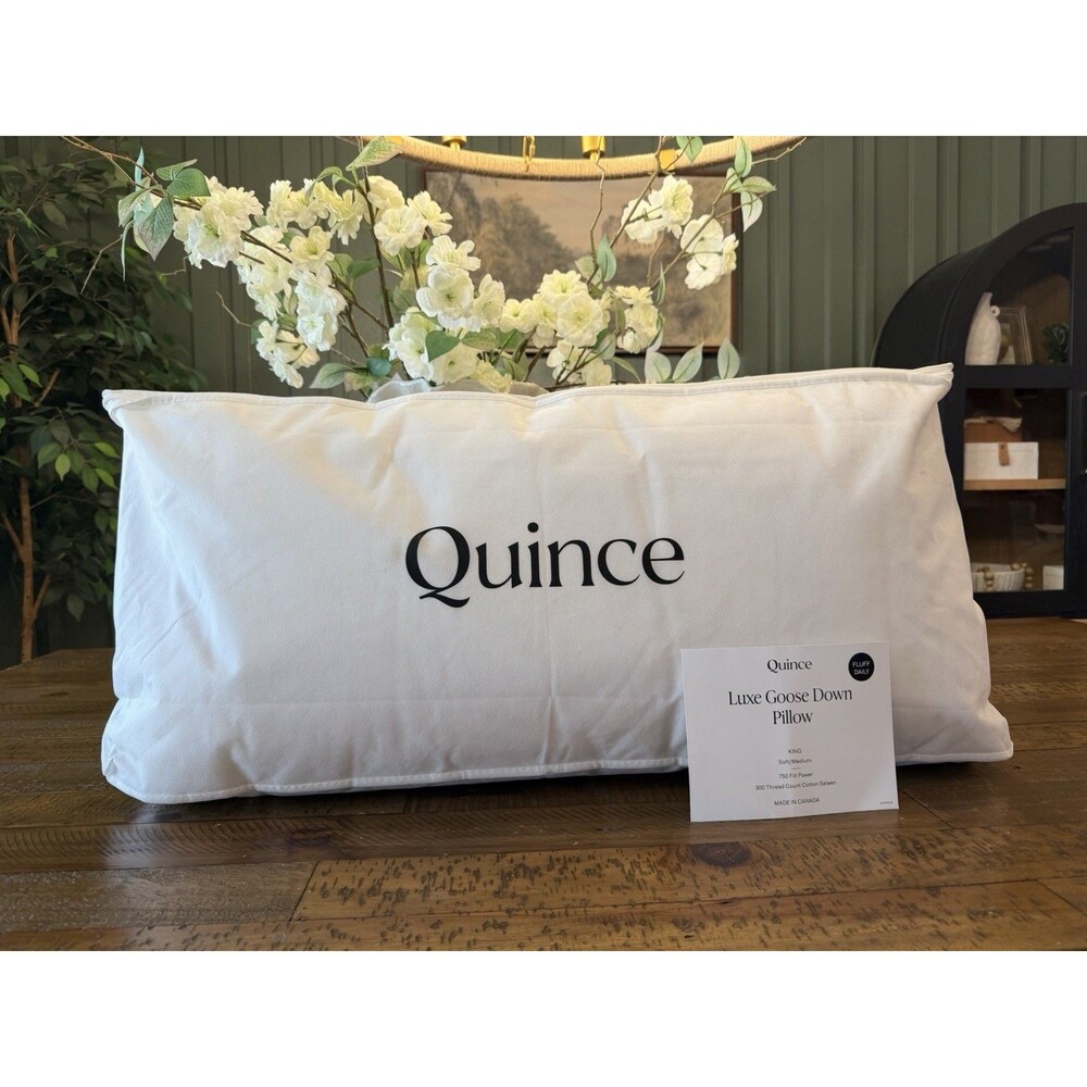 NWT Quince Luxe Goose Down Pillow King Soft | Medium Firmness $194 Retail